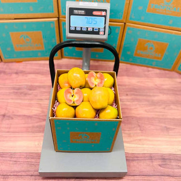 Rose Apple Fruit Box Tropical Fruit Box